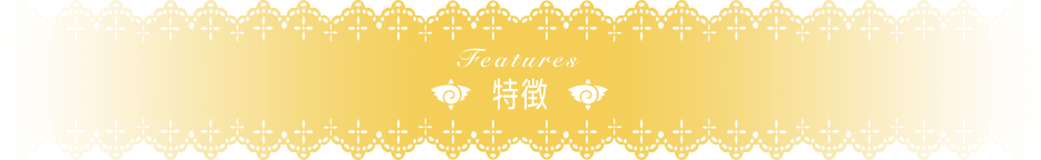 Features 特徴