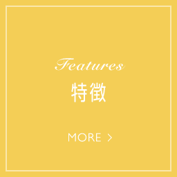 Features 特徴