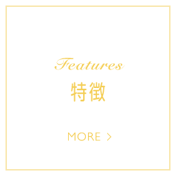 Features 特徴